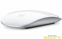 polo shirt img