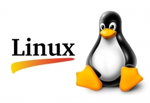 Устанавливаем UBUNTU! Плюсы и минусы Linux